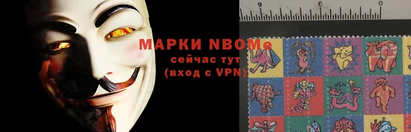 твердый Краснослободск